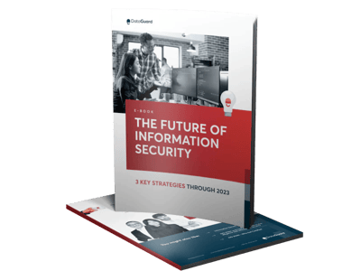 The Future of Information Security