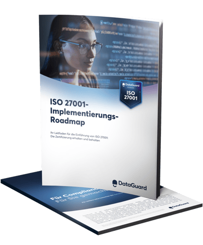 Preview_240206_ImplementationRoadmap_de-3