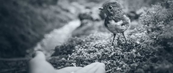 Personenbezogene Daten erheben: so sollten Sie vorgehen