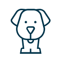 Dog-2