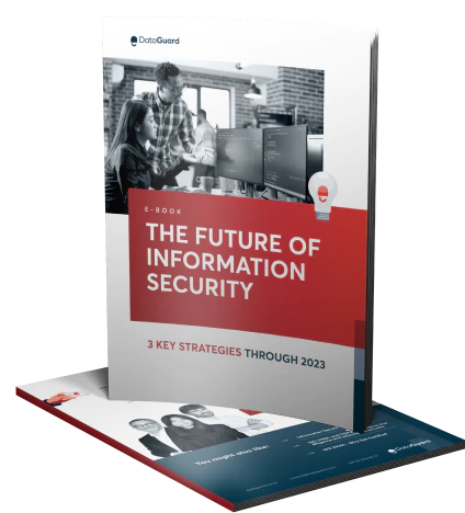 The Future of Information Security