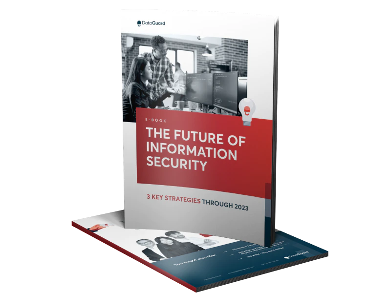 The Future of Information Security