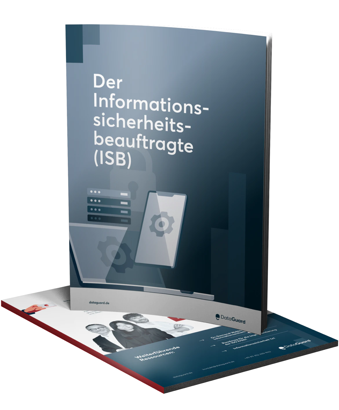 Why Outsource an ISO DE Preview